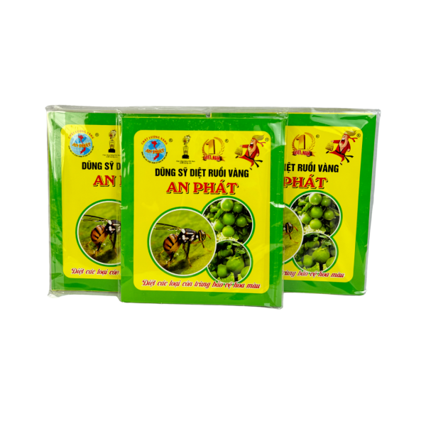 Dũng Sỹ diệt ruồi vàng An Phát - Ảnh 4