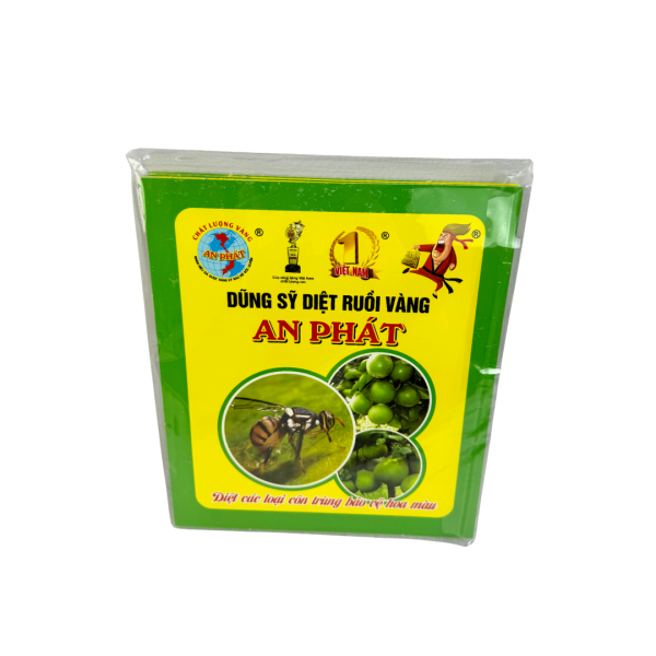 Dũng Sỹ diệt ruồi vàng An Phát - Ảnh 2