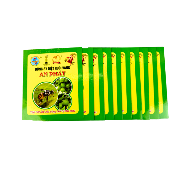 Dũng Sỹ diệt ruồi vàng An Phát - Ảnh 3