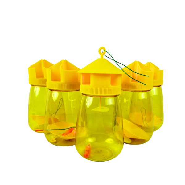 Đèn bẫy ruồi vàng An Phát - Ảnh 2